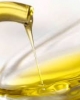 Báo cáo thực tập chuyên ngành: Quy trình tinh luyện dầu thực vật