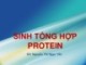 Bài giảng Sinh học phân tử: Sinh tổng hợp protein - Nguyễn Thị Ngọc Yến