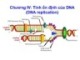 Bài giảng Sinh học phân tử - Chương 4: Tính tổn định của DNA