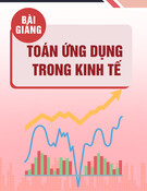 Bài giảng Toán ứng dụng trong kinh tế - Tôn Thất Tú